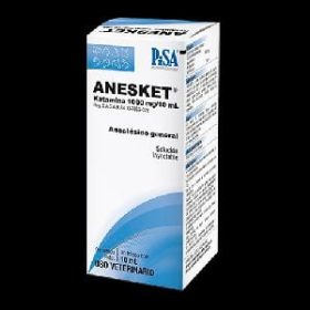 Buy Anesket 1000mg /10ml Online